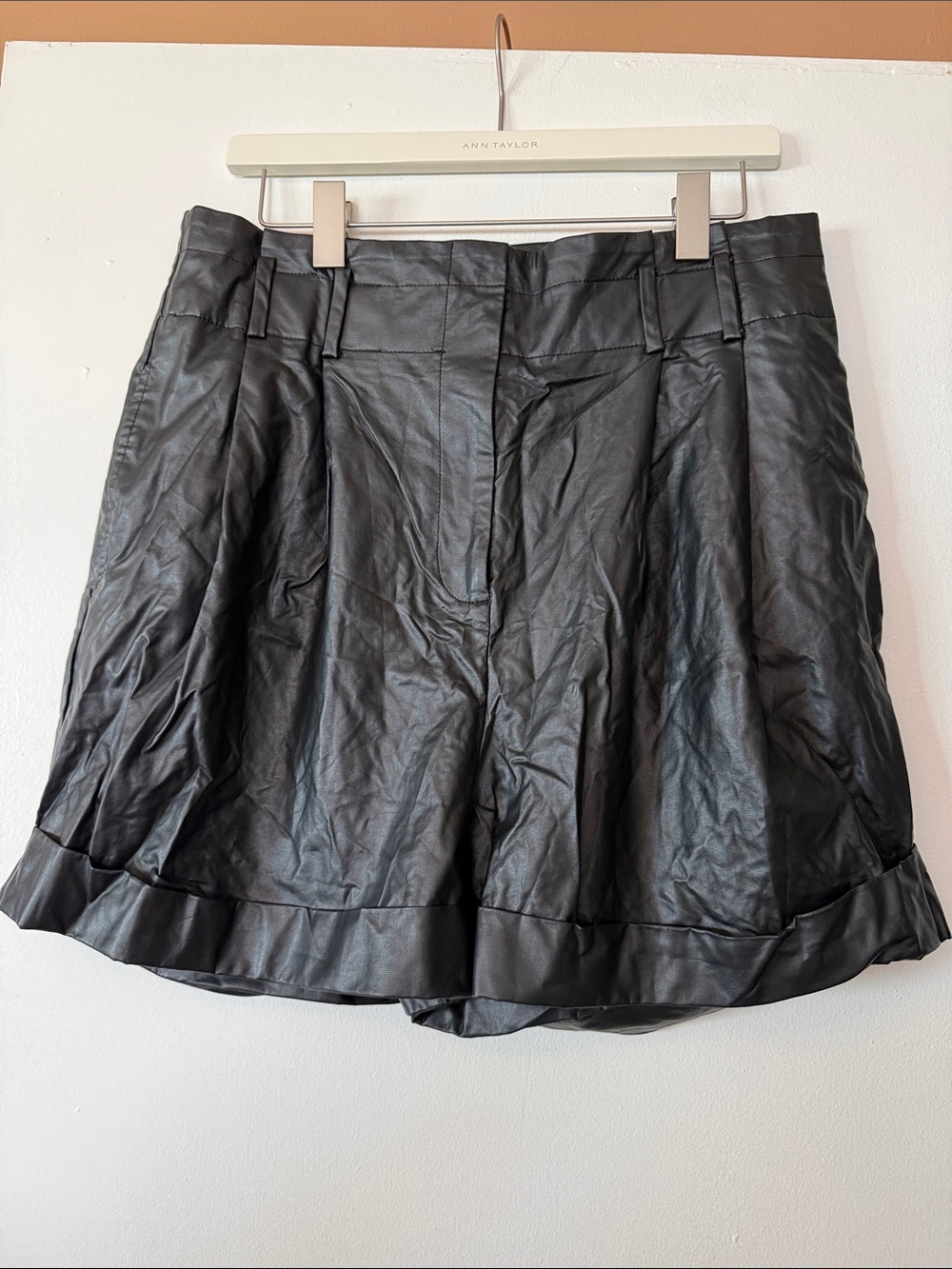 Elizabeth & James Black Faux Leather Pleated Skirt-Style Shorts